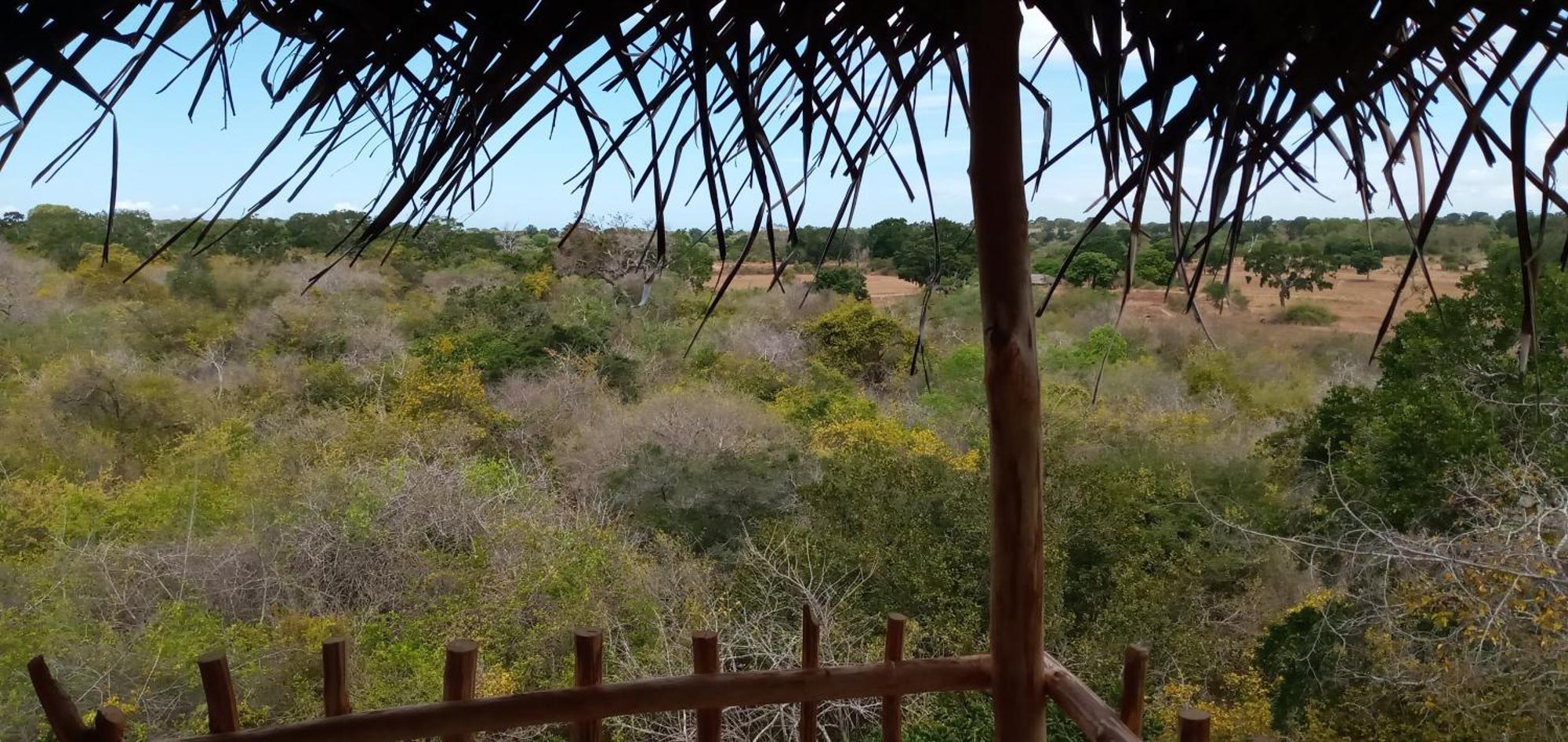 Mamba Yala Hotel Тисамахарама Екстериор снимка